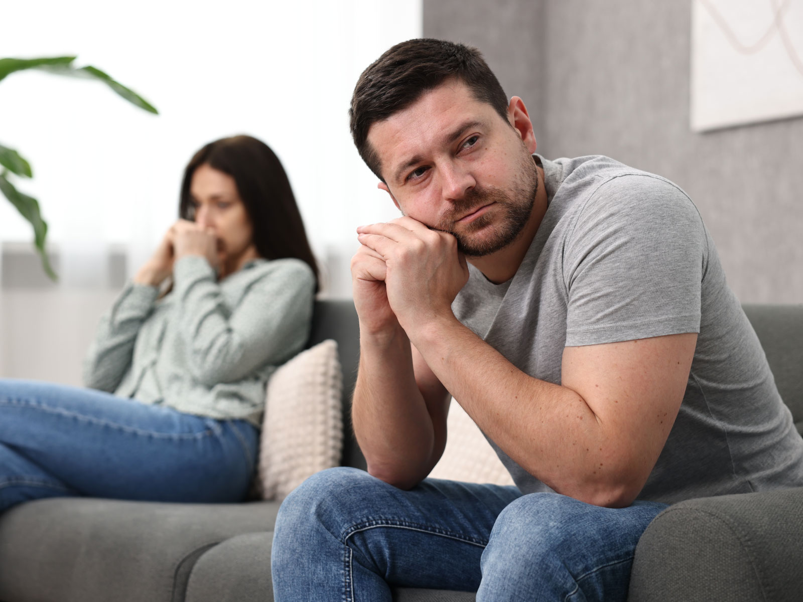 shutterstock_2461342437