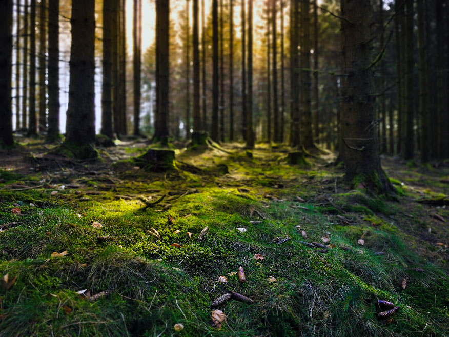 _59A8455_aia